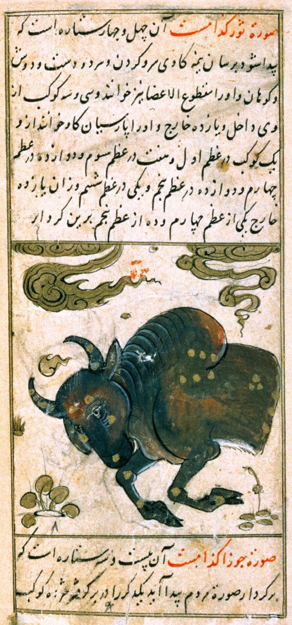 Zodyak Takımyıldızları: Toros, Boğa, Talim dar marifat i taqvuim