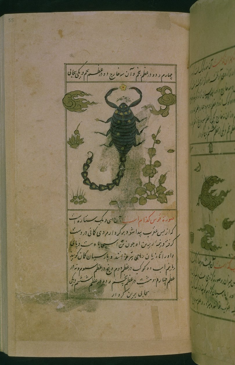 Zodyak takımyıldızları: Akrep, Akrep, Talim dar marifat i taqvuim, 1498 (903 Hijra) (mürekkep) by Abu Jafar al Tabari