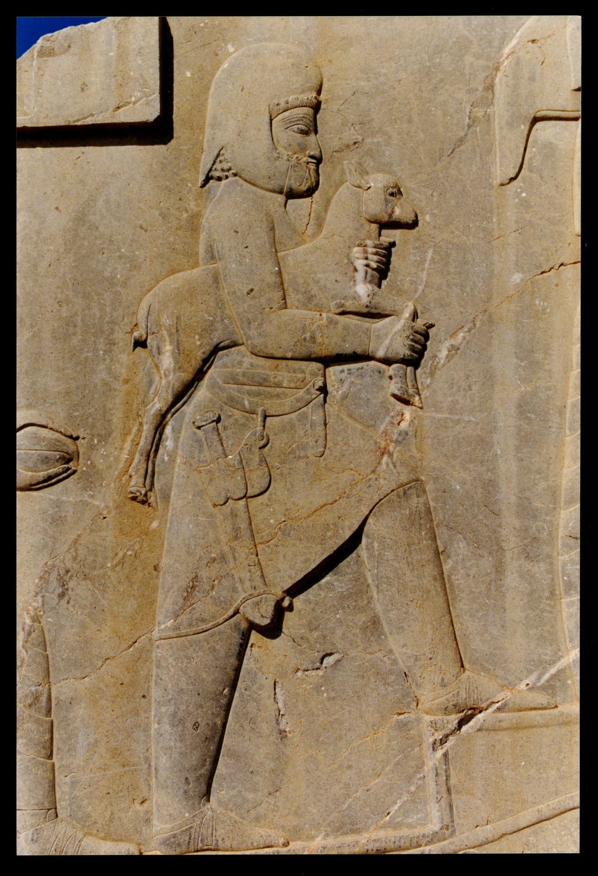 Darius