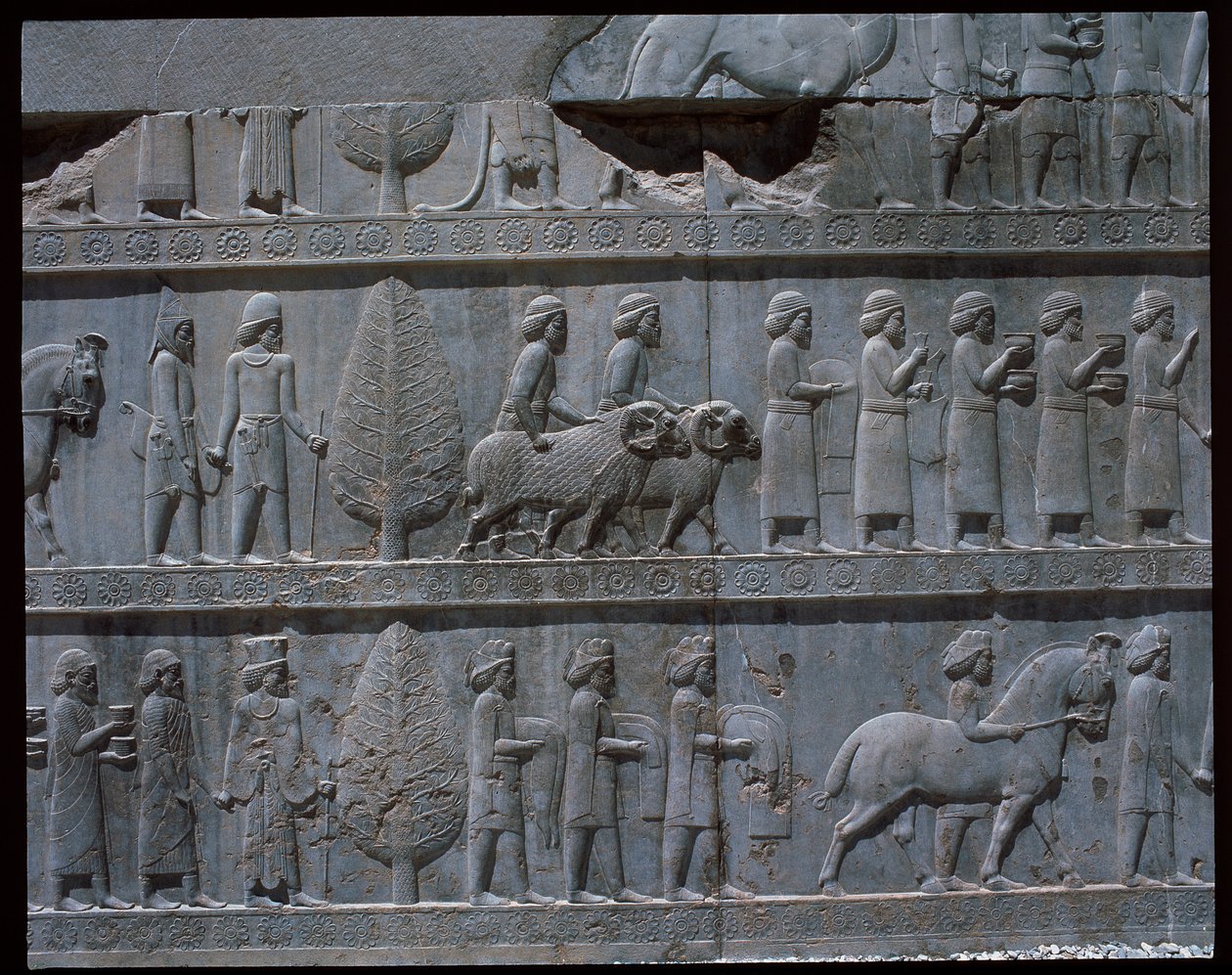 Doğu merdivenlerinin kabartmalarının görünümü by Achaemenid