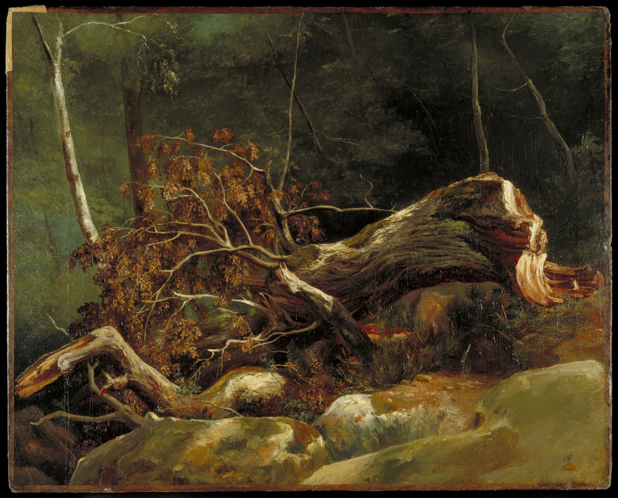 Düşmüş Dal, Fontainebleau, c.1816 (kart üzerine tuval üzerine yağlı boya) by Achille Etna Michallon