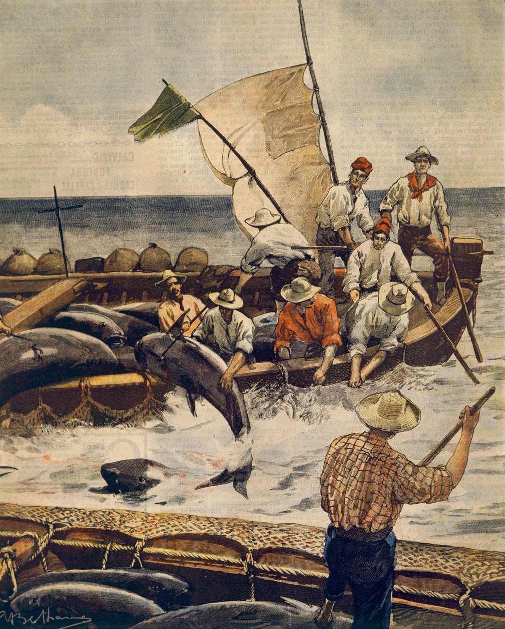 Achille Beltrame (1871-1945), La Domenica del Corriere