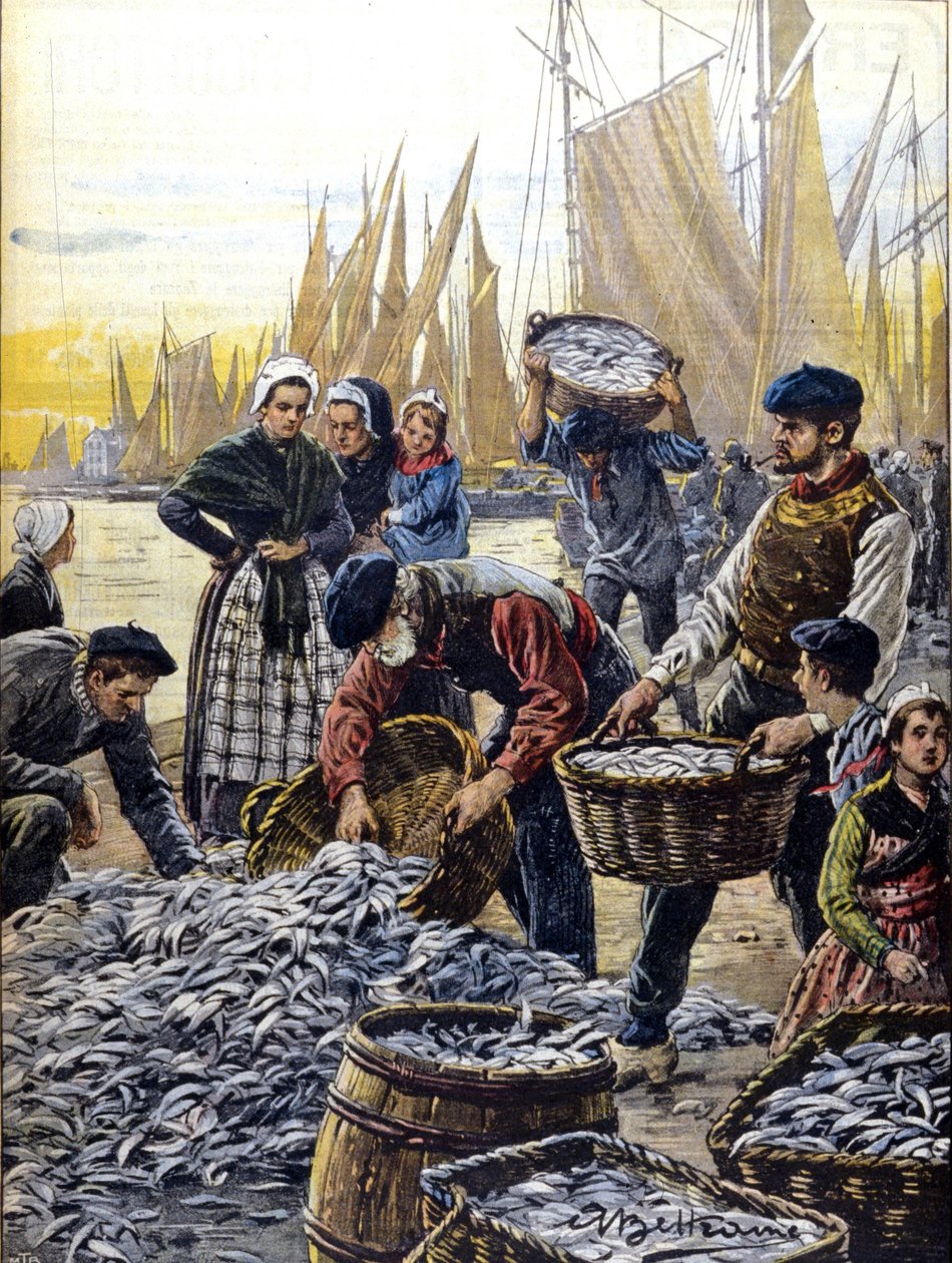 Achille Beltrame tarafından 1903 yılında Brittany'de sardalya balıkçılığı by Achille Beltrame
