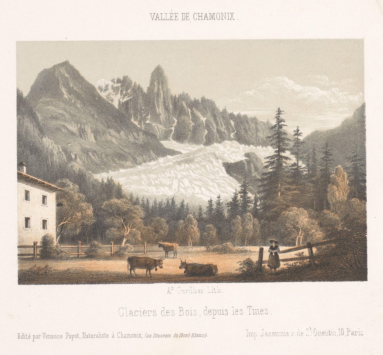 Kuzeyden Chamonix ve Mont Blanc