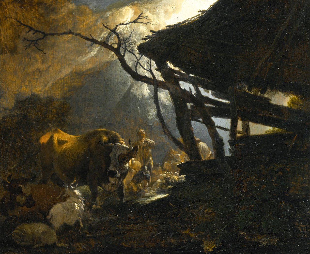  by Adam Pynacker