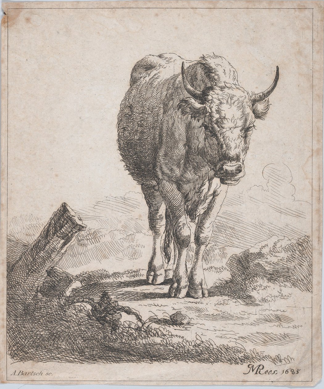 Önden görülen bir inek, 1805. by Adam von Bartsch