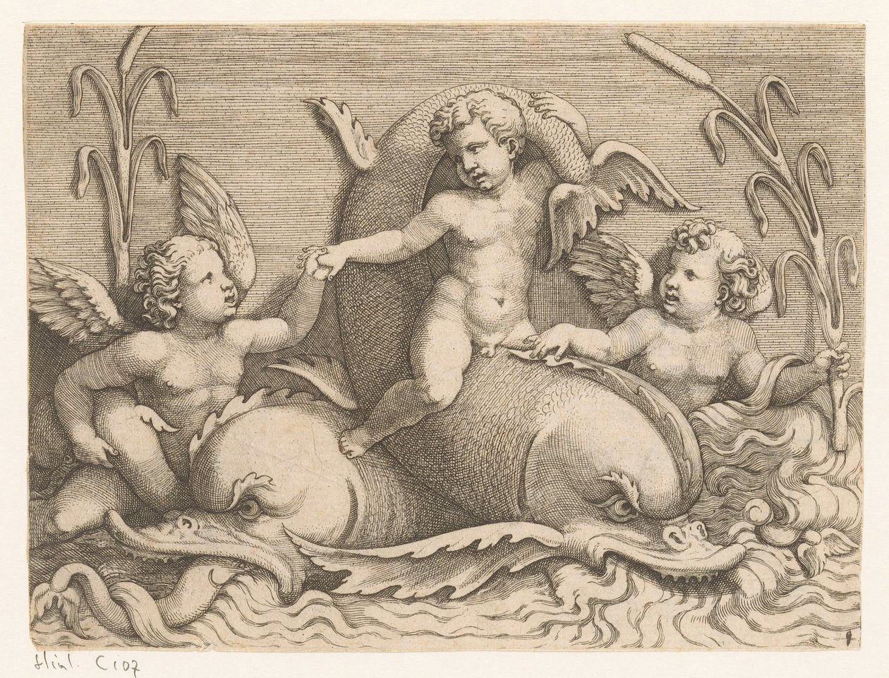 Yunuslar ile üç putti by Adamo Scultori