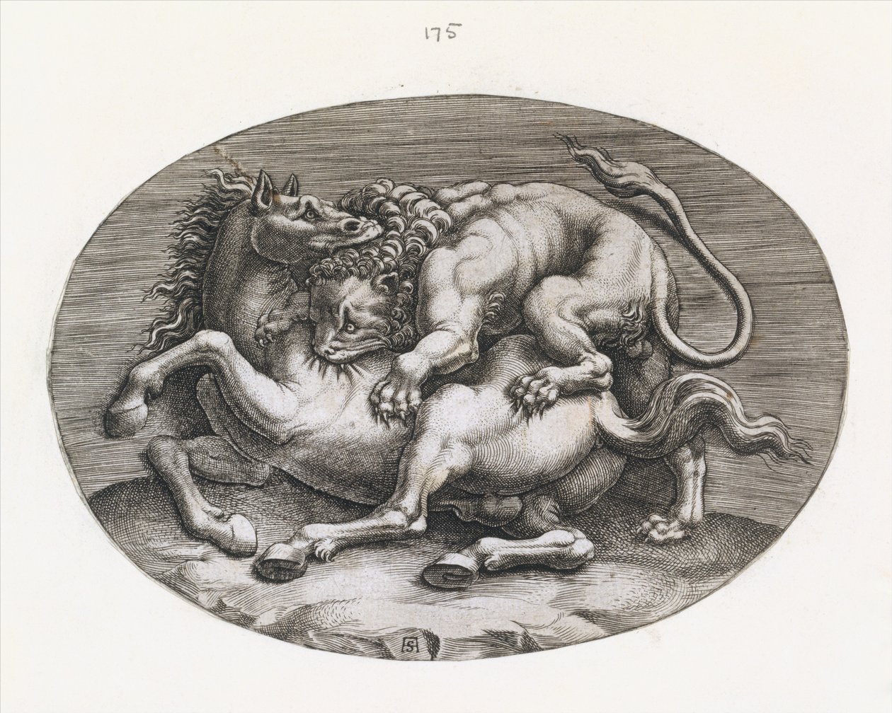 Roma ihtişamının aynası: Bir Ata Saldıran Aslan, c1540-80. by Adamo Scultori