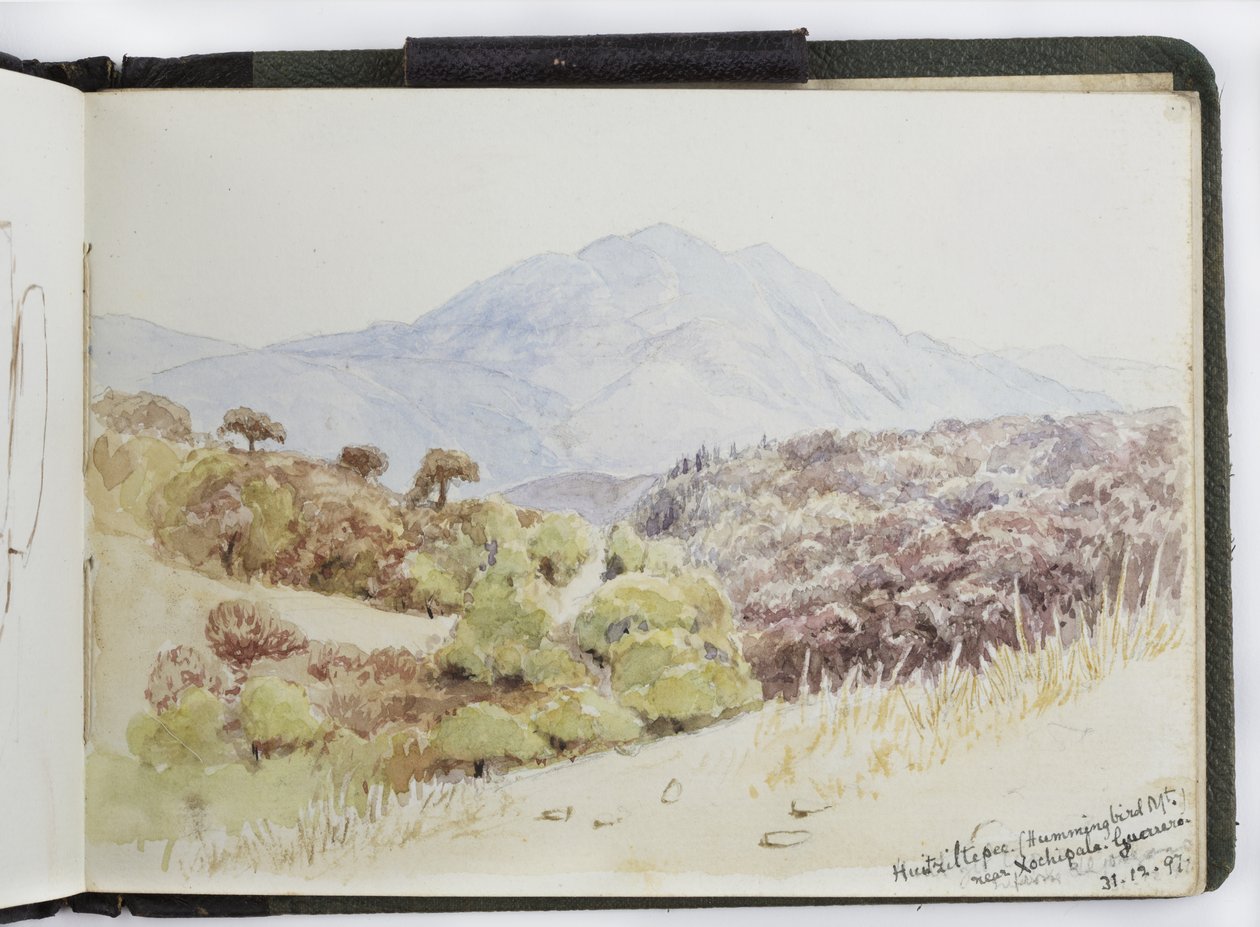 Suluboya Eskiz Defteri, Çizimler ve Notlar, Meksika, 1896-1898 (suluboya) by Adela Breton