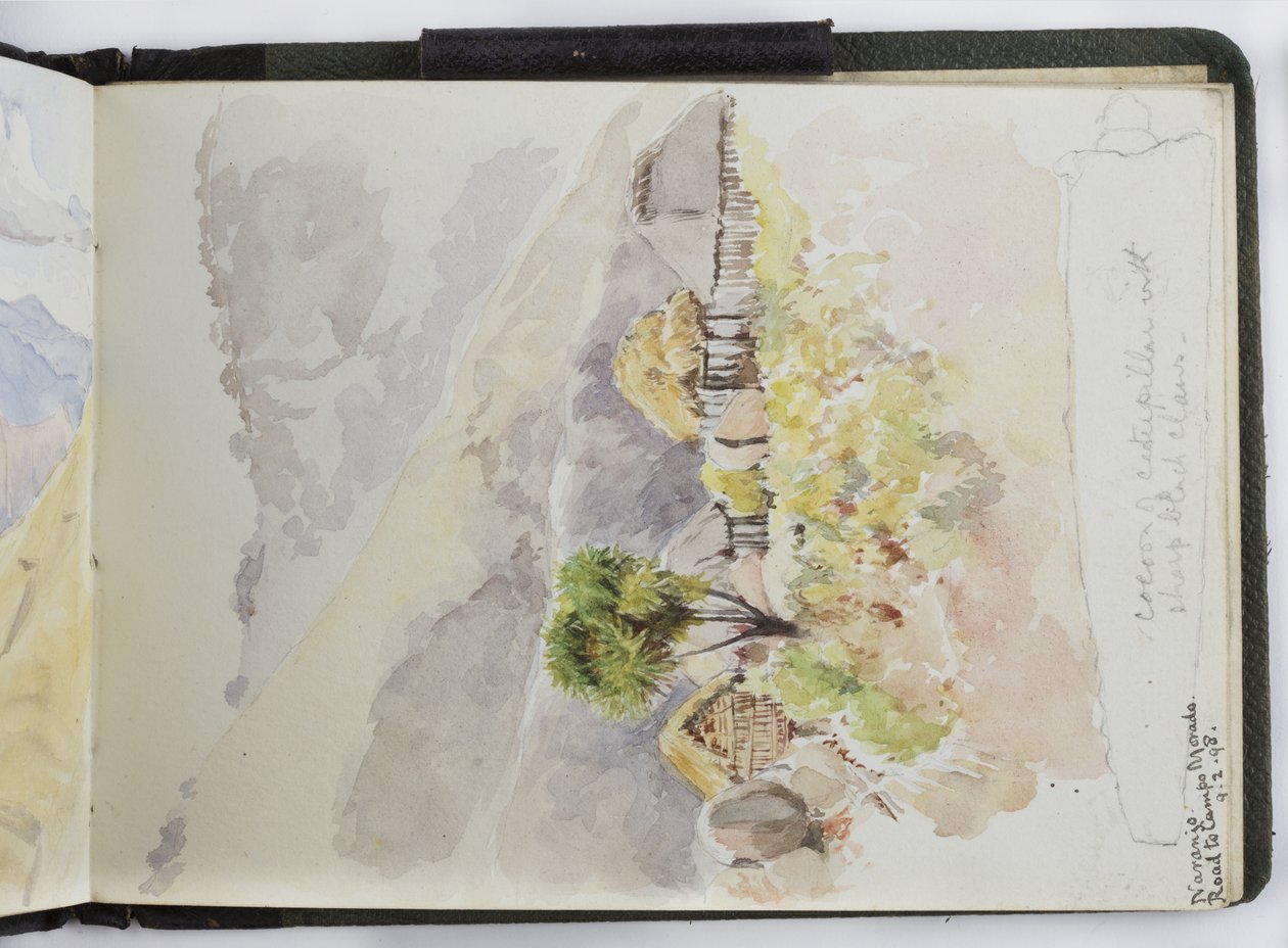 Suluboya Eskiz Defteri, Çizimler ve Notlar, Meksika, 1896-1898 (suluboya) by Adela Breton