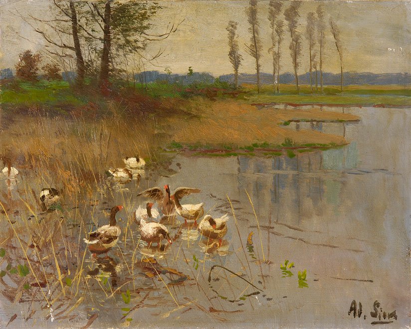 Kaz ile deniz manzarası by Adolf Lins
