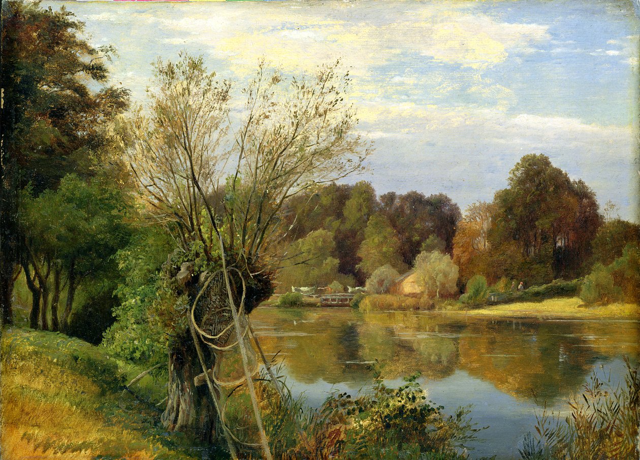 Aumuhle yakınlarında, c.1830 (kart üzerine monte edilmiş kağıt üzerine yağ) by Adolf Vollmer