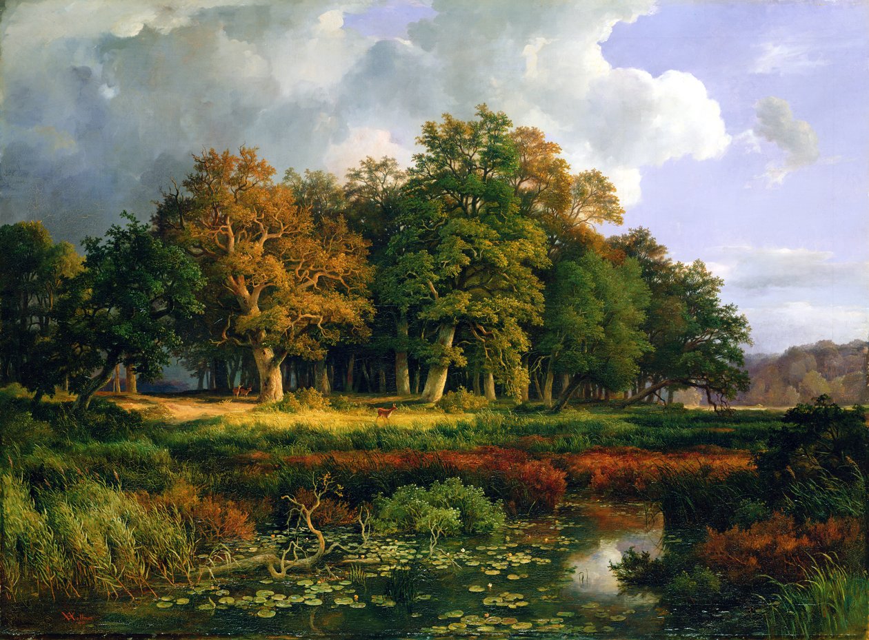 Sachsenwald