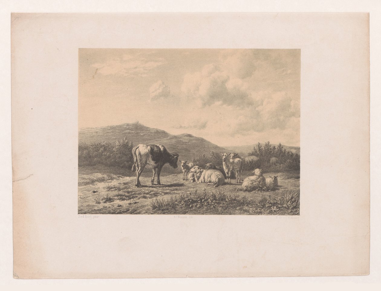 Sığır ile manzara by Adolf Carel Nunnink