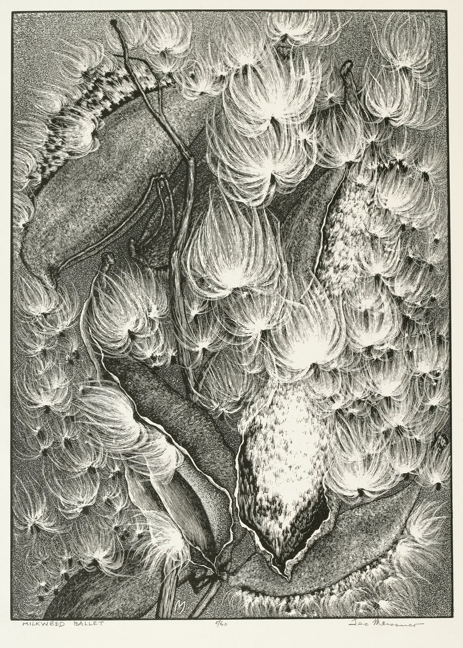 süt otu balesi by Adolf Ernst Meissner