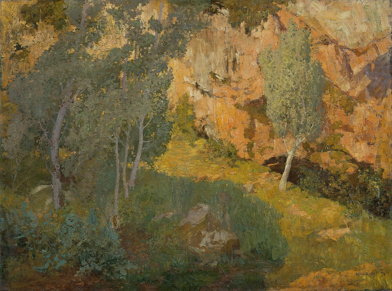 güneşli kayalık vadi by Adolf Gross