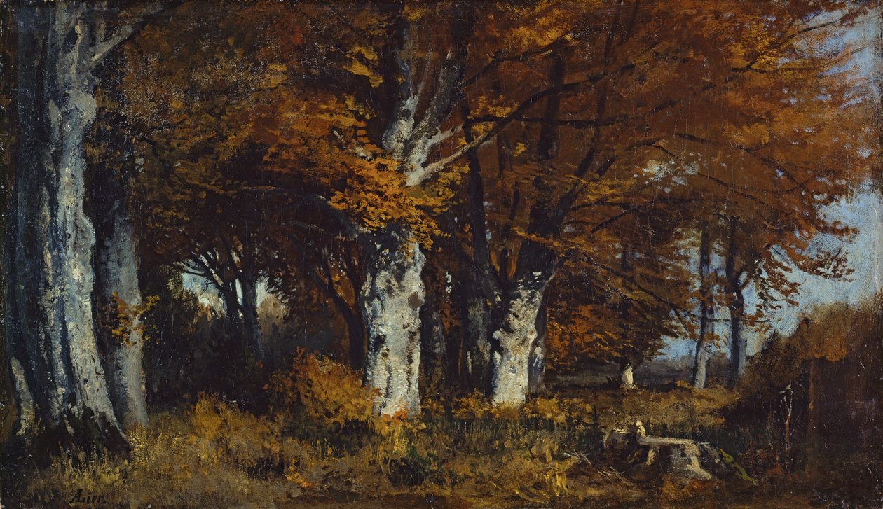 Sonbaharda kayın ormanı by Adolf Heinrich Lier
