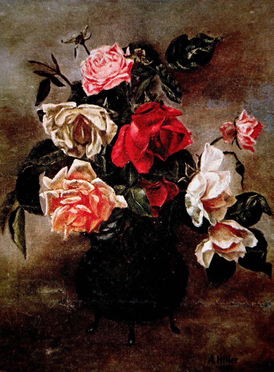 Güller by Adolf Hitler