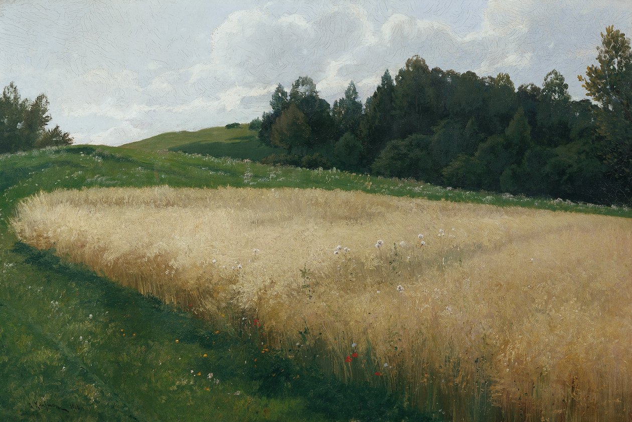 yulaf tarlası by Adolf Kaufmann