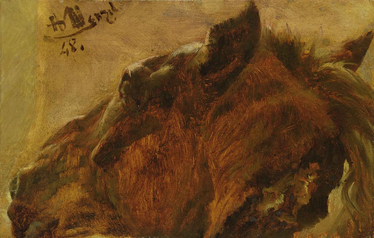 Ölü Bir Atın Başı, 1848 (tuval üzerine monte edilmiş kağıt üzerine yağlı boya) by Adolph Menzel