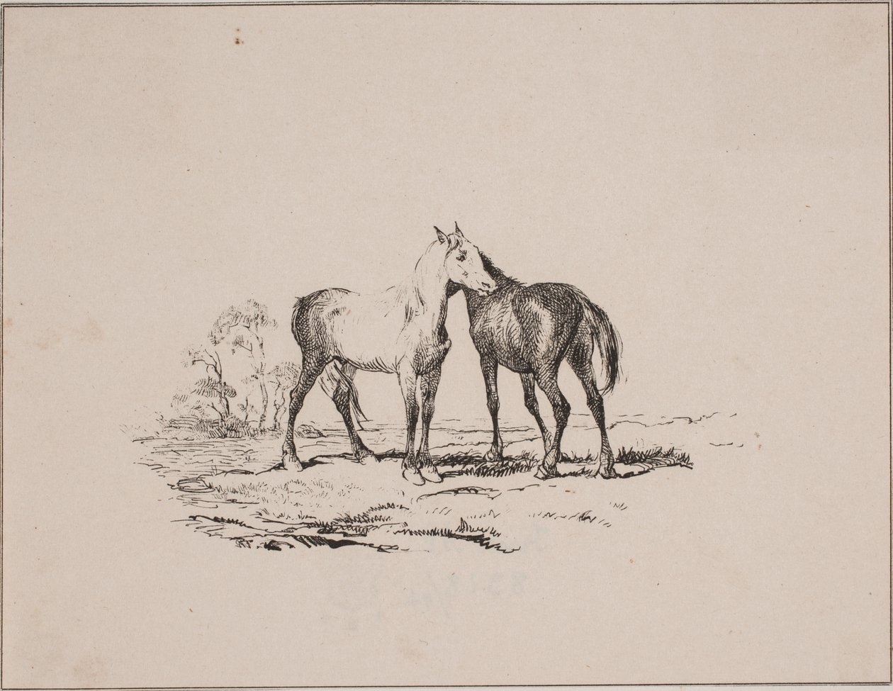 iki at by Johan Adolph Kittendorff