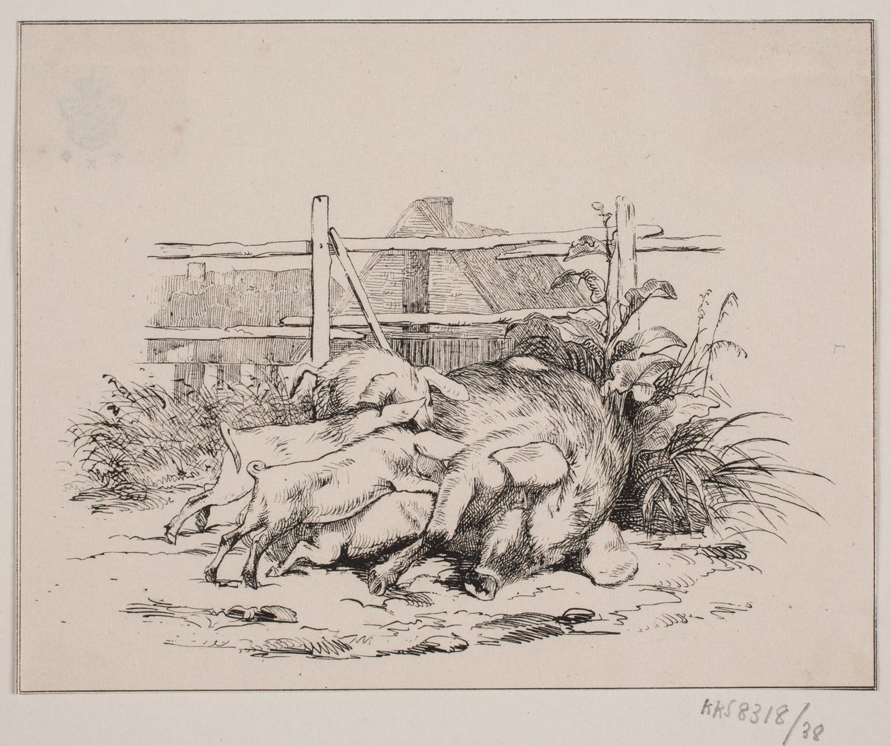 Domuzlar by Johan Adolph Kittendorff