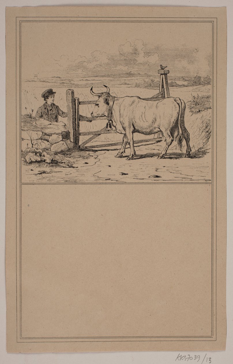 İnek ve çocuk. No. 12