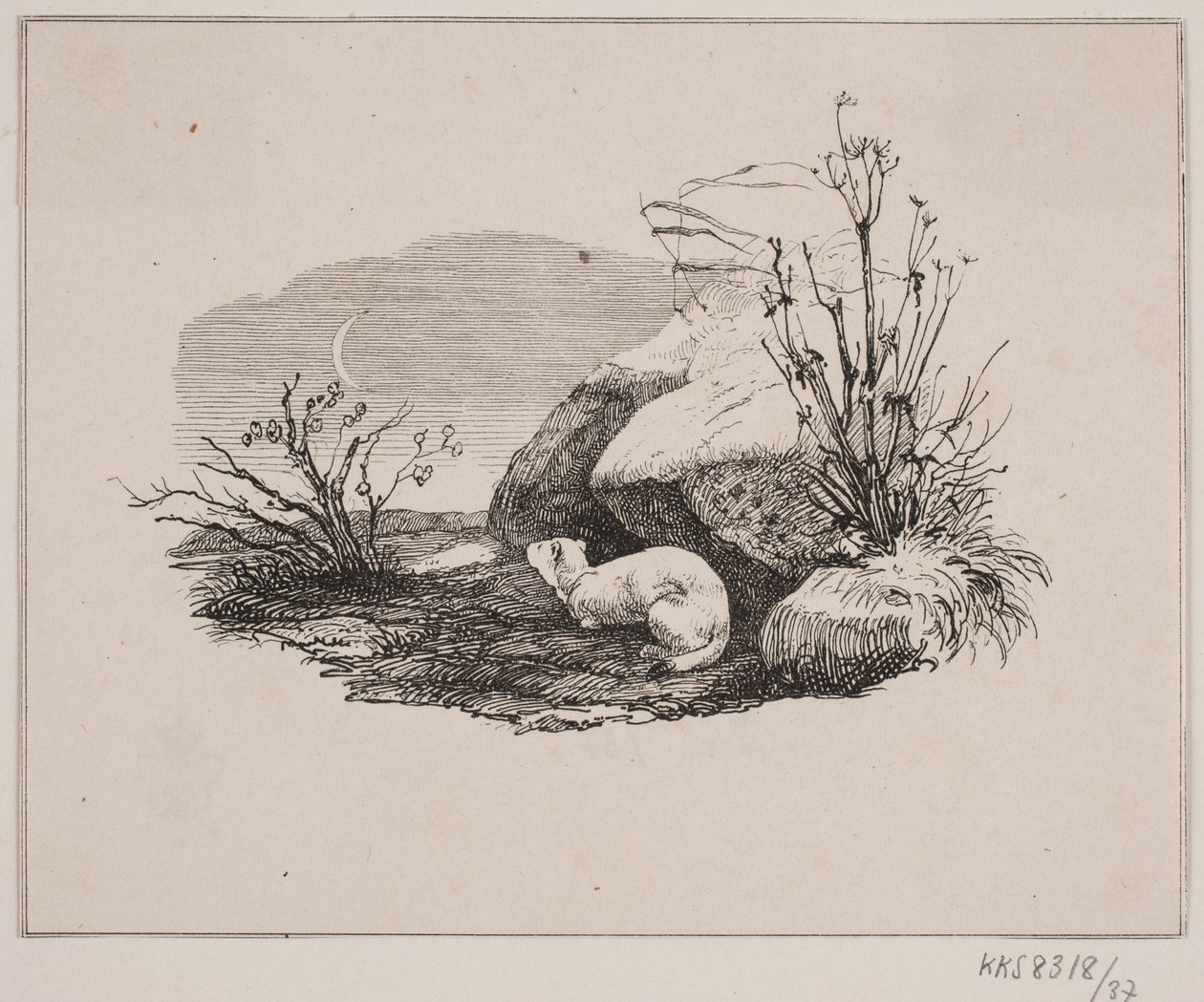 sızıntı yapan kedi by Johan Adolph Kittendorff