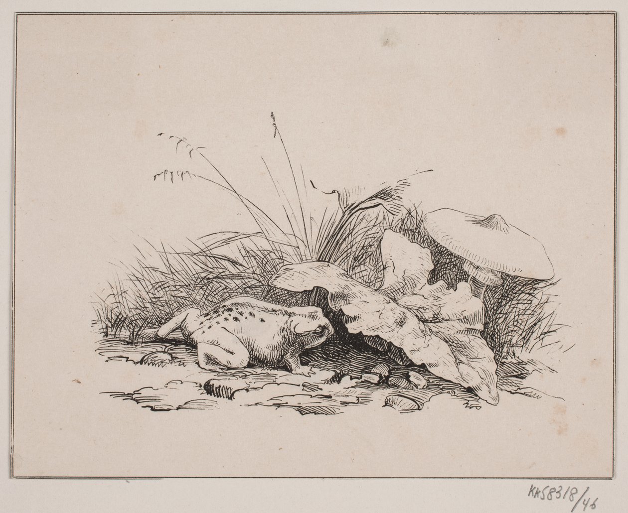 Karakurbağası by Johan Adolph Kittendorff
