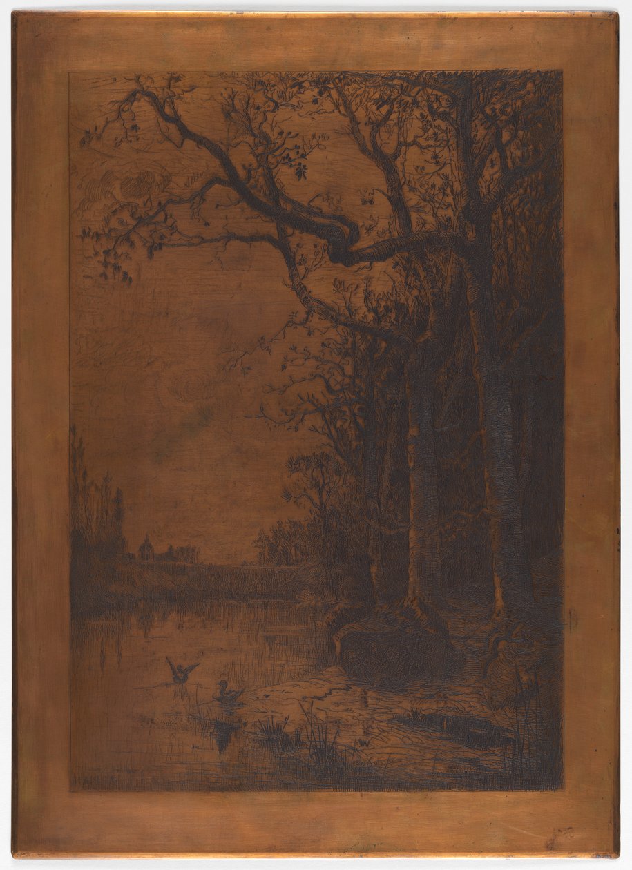 Adolphe Appian tarafından kazınmış bakır levha "Ördeklerle Manzara" by Adolphe Appian