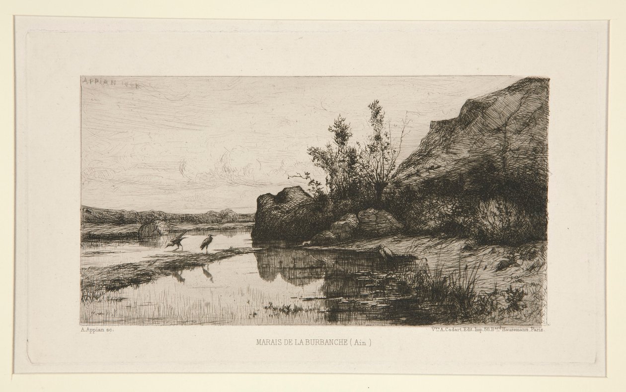 Burbanche Bataklığı (Ain) by Adolphe Appian