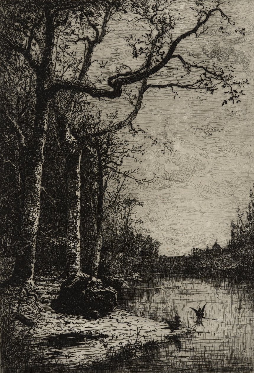 Burbanche Bataklığı (büyük levha), c.1870 (gravür) by Adolphe Appian