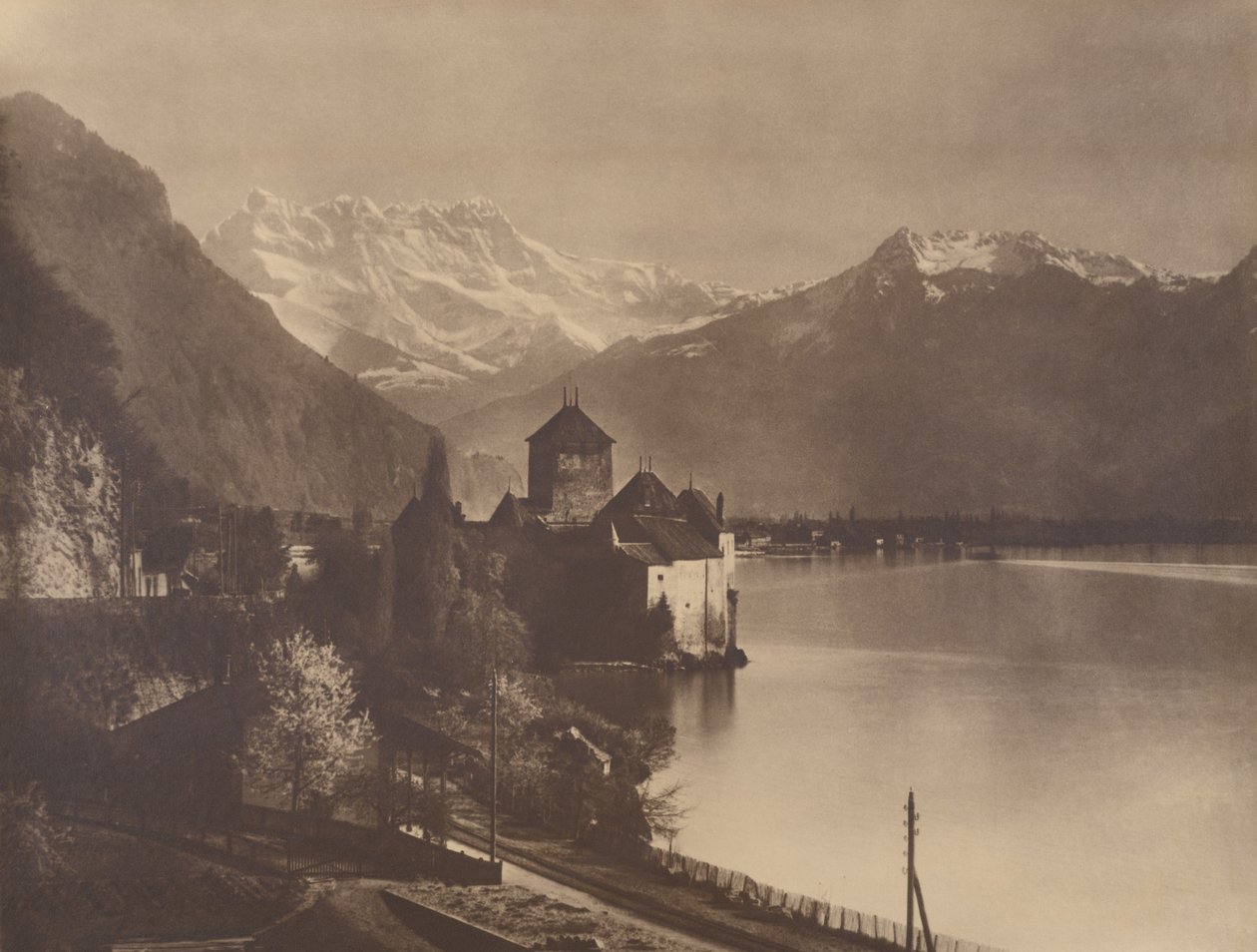  by Adolphe Braun