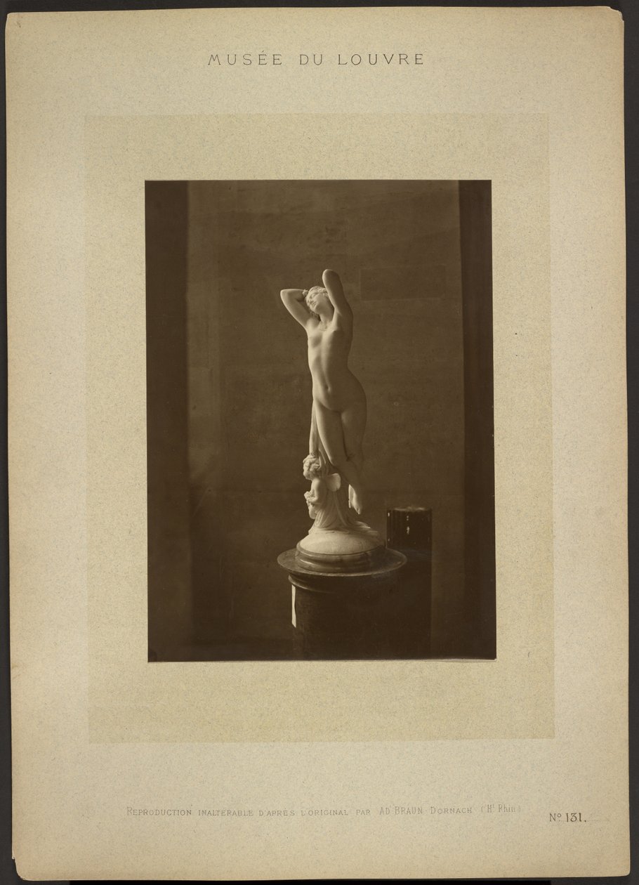  by Adolphe Braun