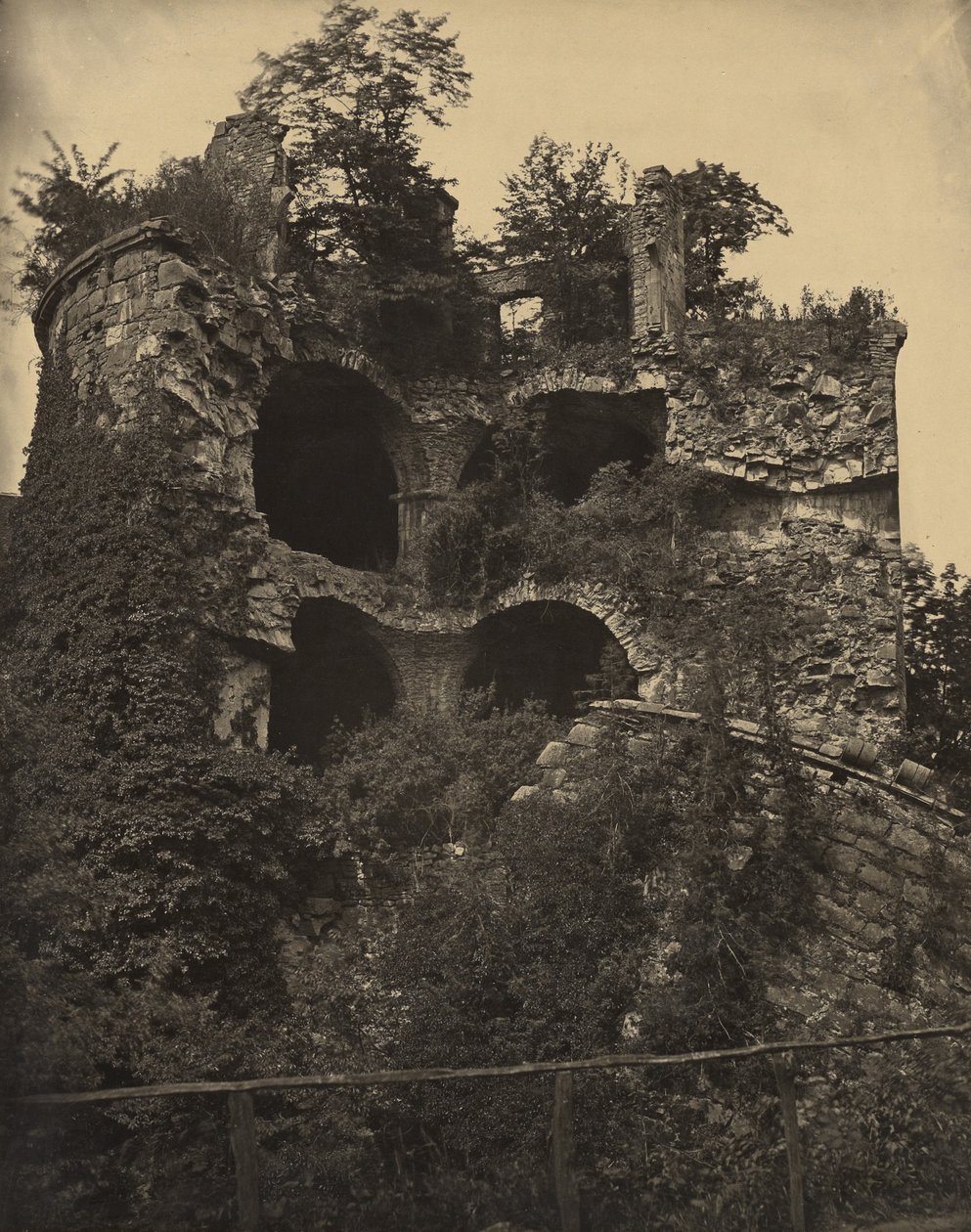  by Adolphe Braun