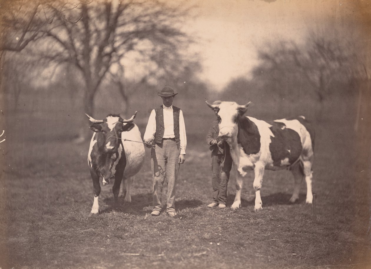 Manzara, yak. 1864 (fotoğraf) by Adolphe Braun