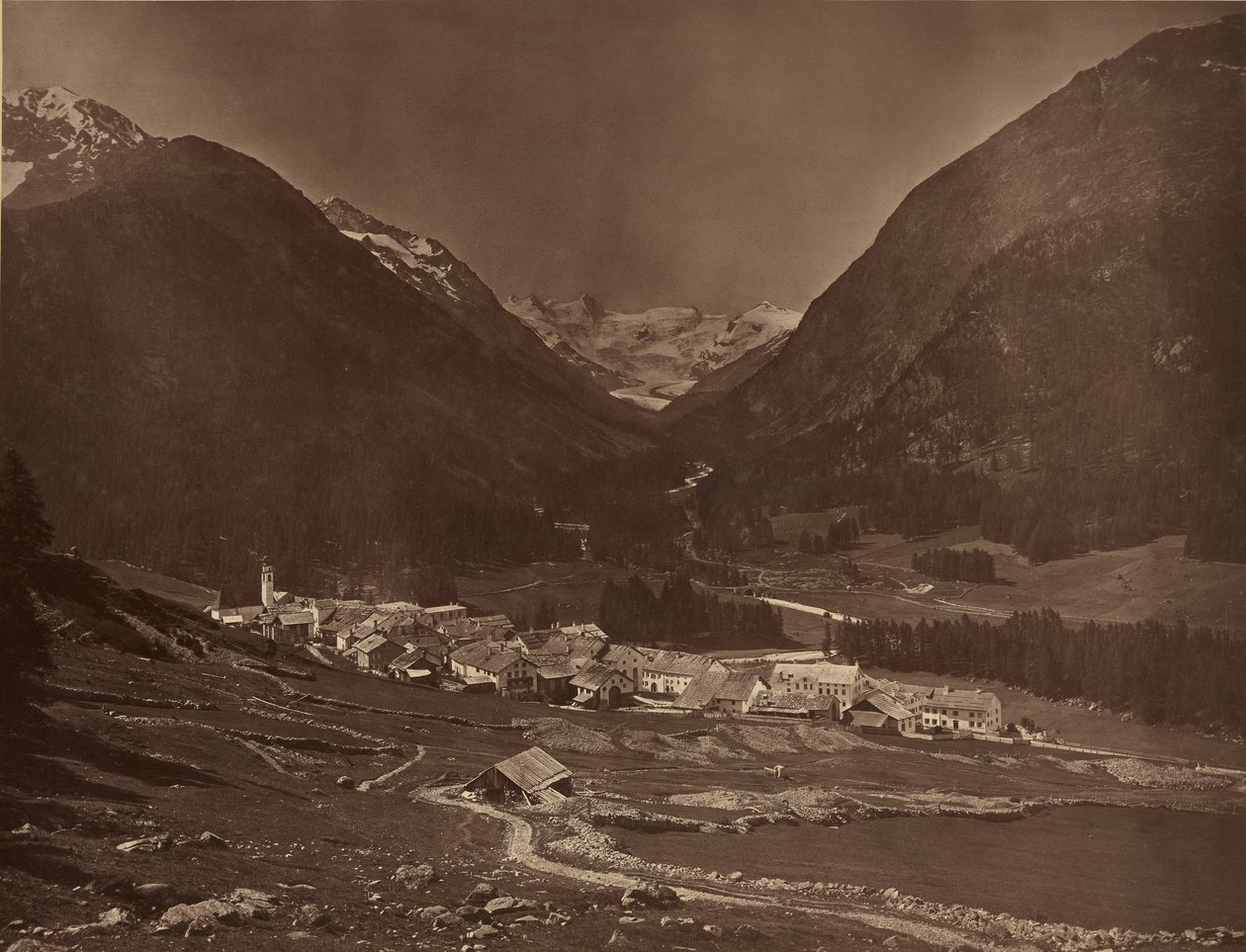  by Adolphe Braun