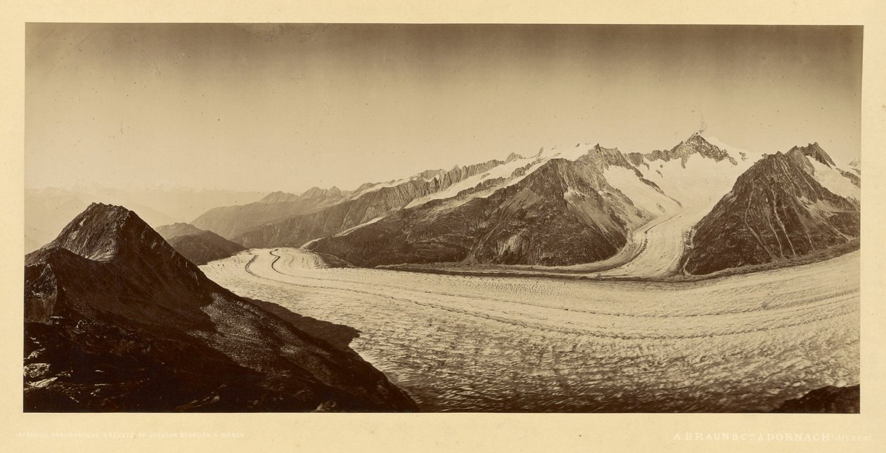  by Adolphe Braun