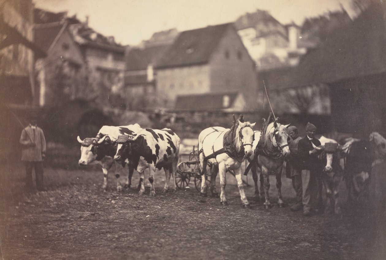 İsimsiz (Çiftlik Hayvanları) by Adolphe Braun