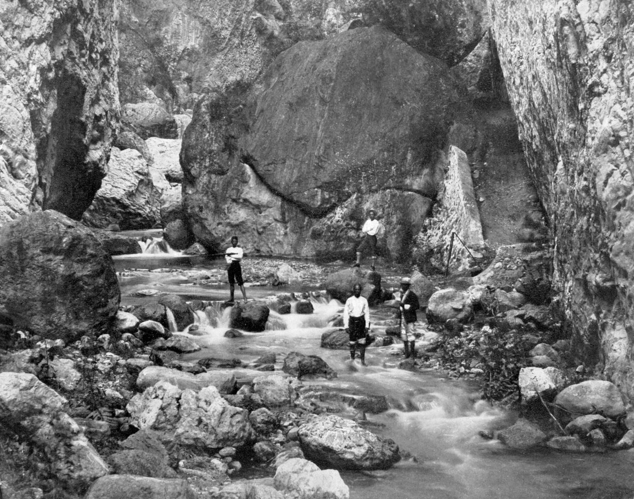 Cane Nehri, Jamaika, c1905. by Adolphe Duperly and Son