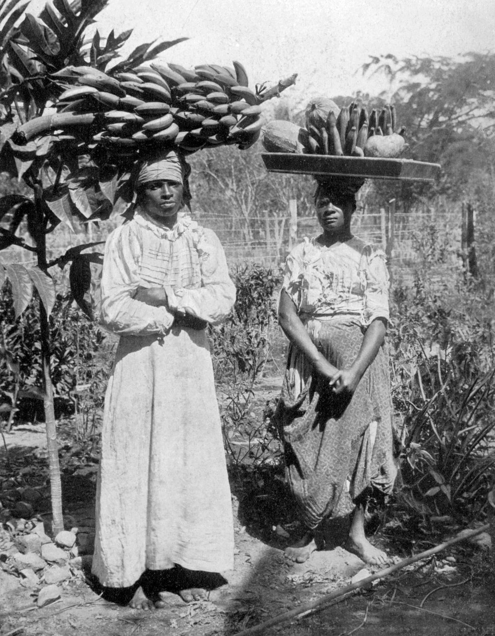 Meyve satıcıları, Jamaika, c1905 by Adolphe Duperly and Son