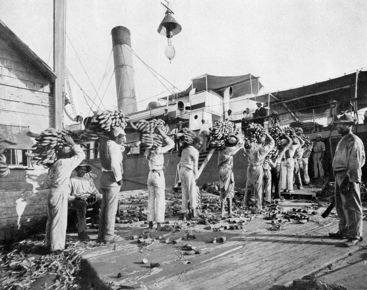 Muz yükleniyor, Port Antonio, Jamaika, c1905. by Adolphe Duperly and Son