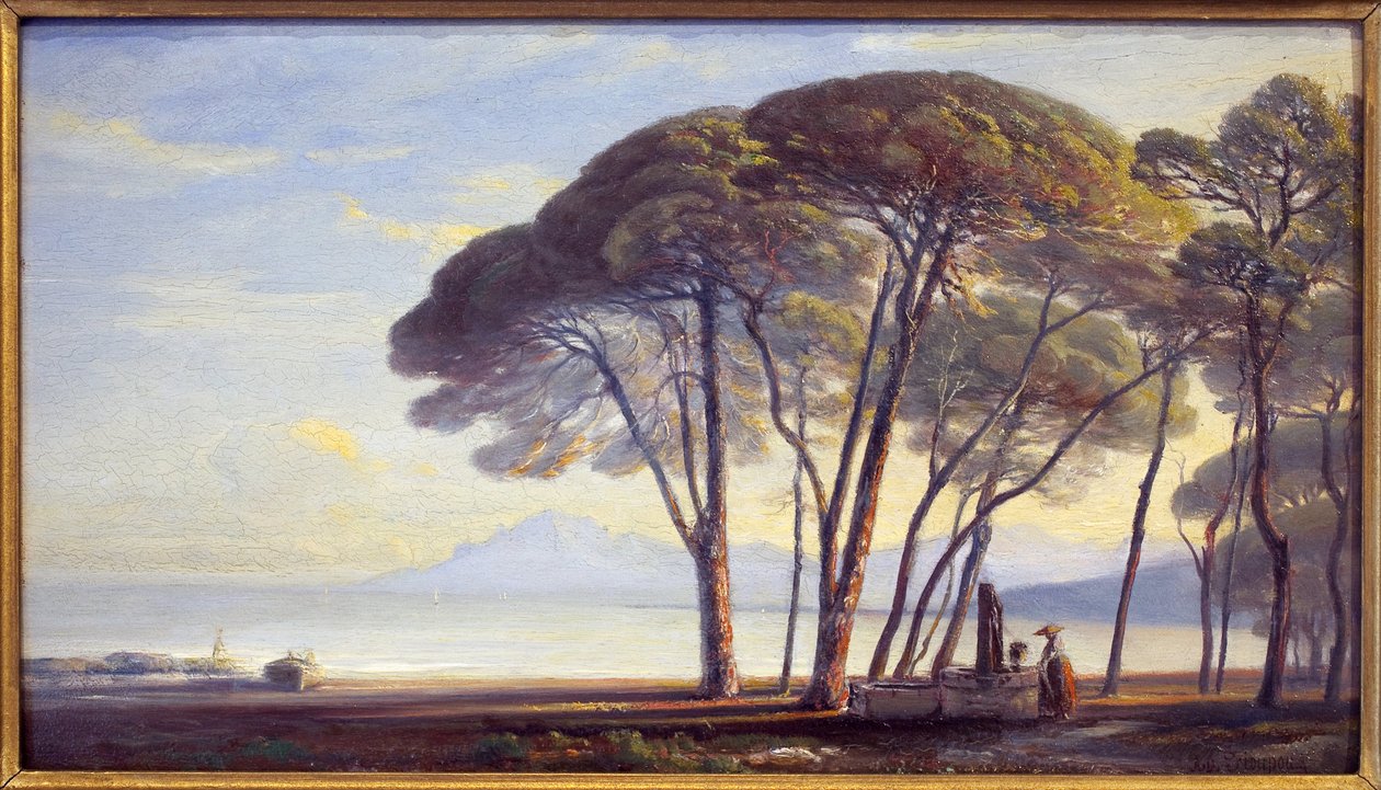 Mülkiyet Juan Les Pins