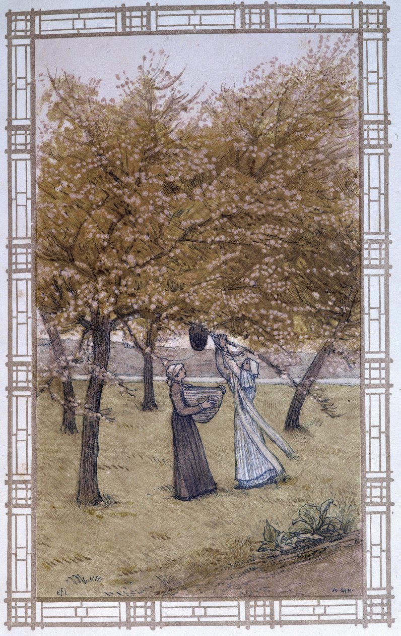 Arıların yaşamı: bir sürünün ahırı - çizim A. Giraudon by Adolphe Giraudon