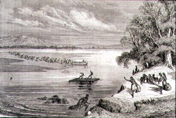 1860