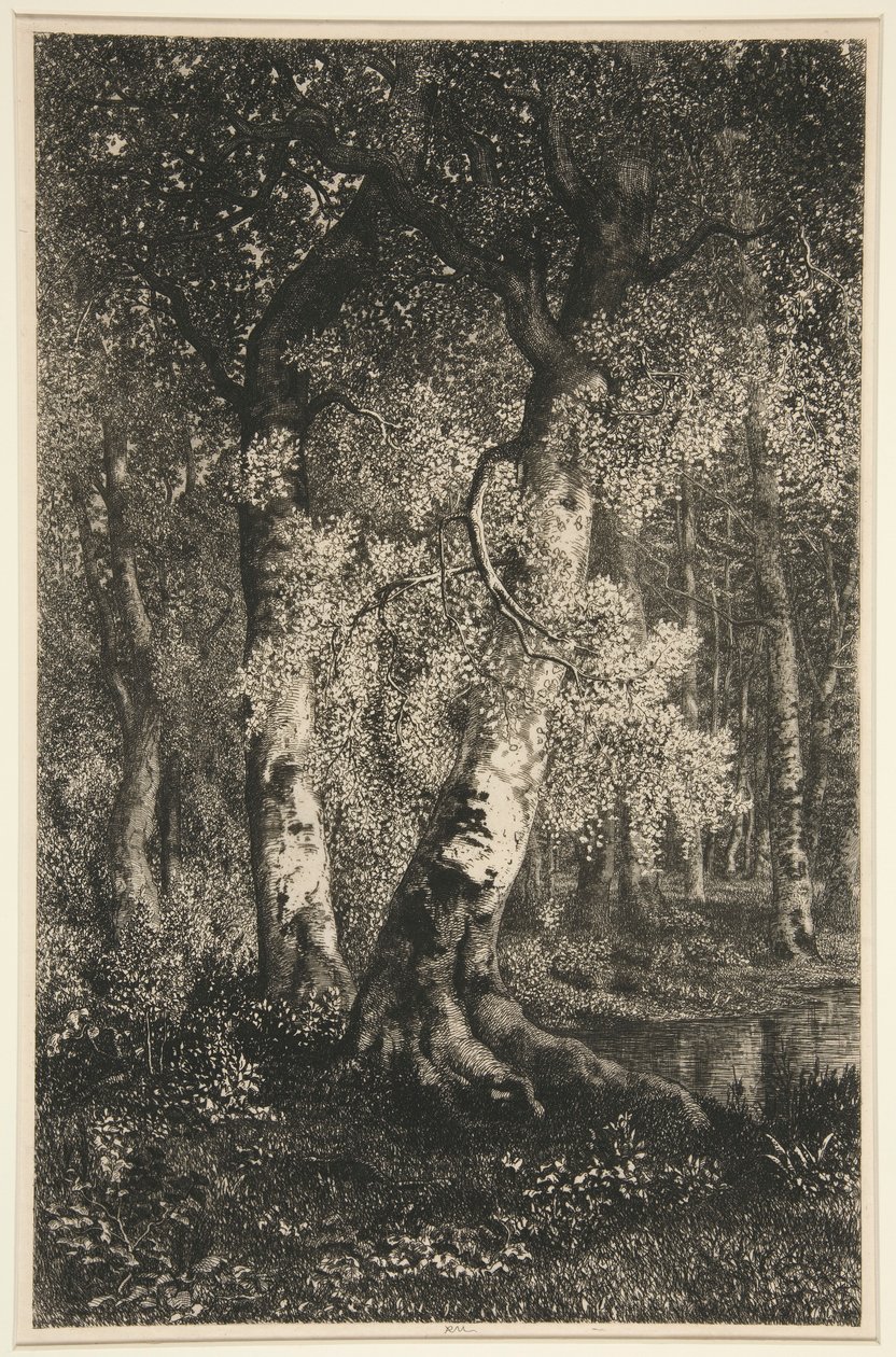 Kayınlar by Adolphe Martial Potemont