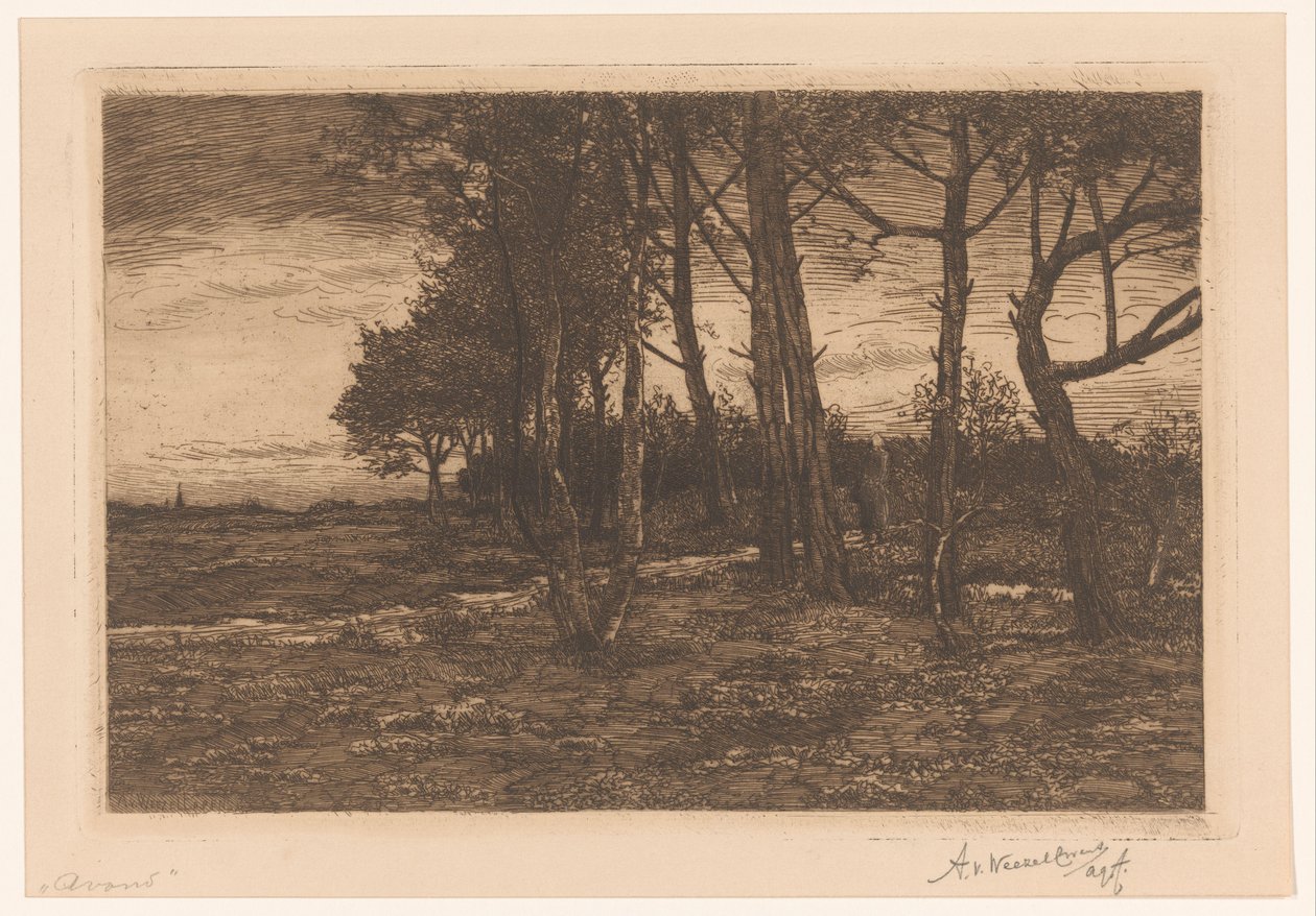Ağaçlar ile manzara Akşam (nesne üzerindeki başlık) by Adolphe P.H J. van Weezel Errens (signed by artist)