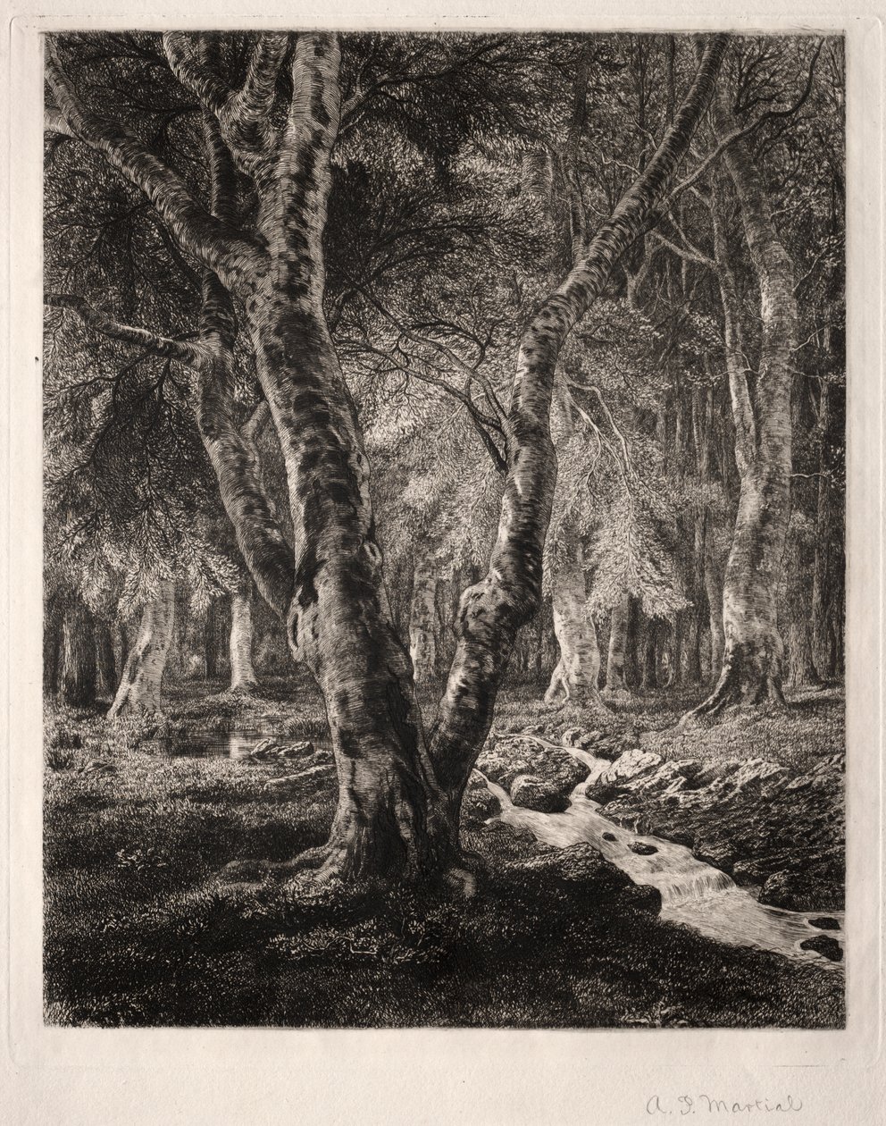 Pierrefonds Ormanı by Adolphe Théodore Jules Martial Potémont