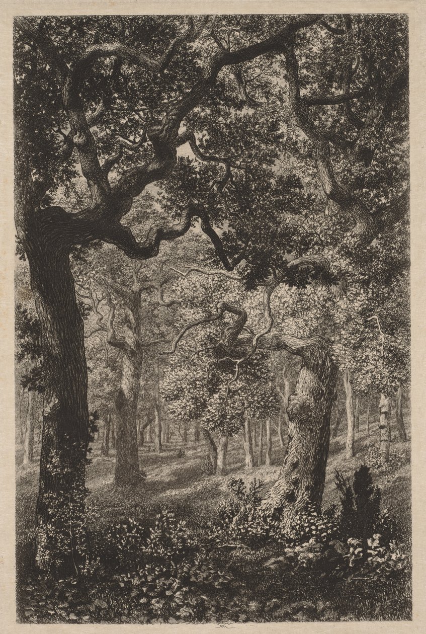 Ormanda by Adolphe Théodore Jules Martial Potémont