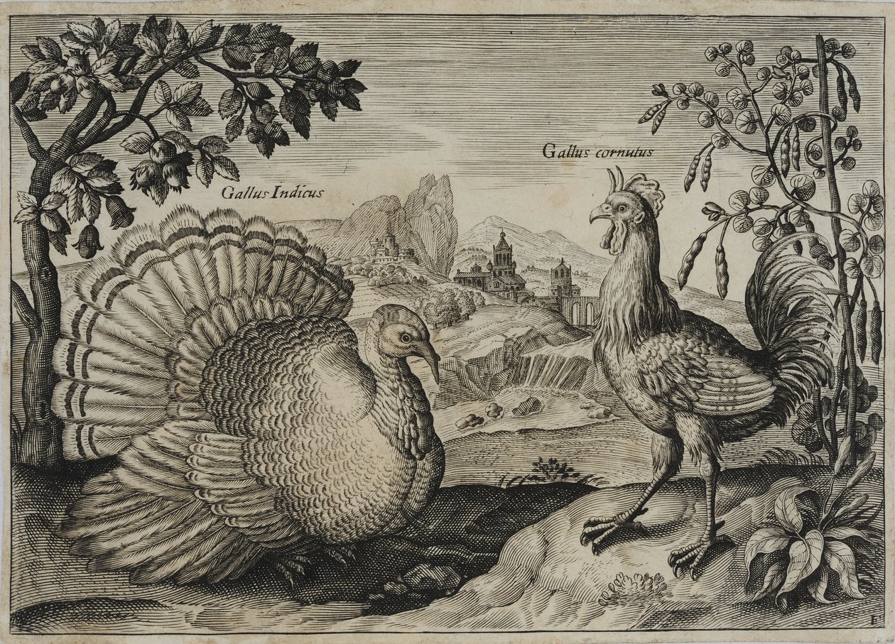 Eski Usta Gravür by Adriaen Collaert